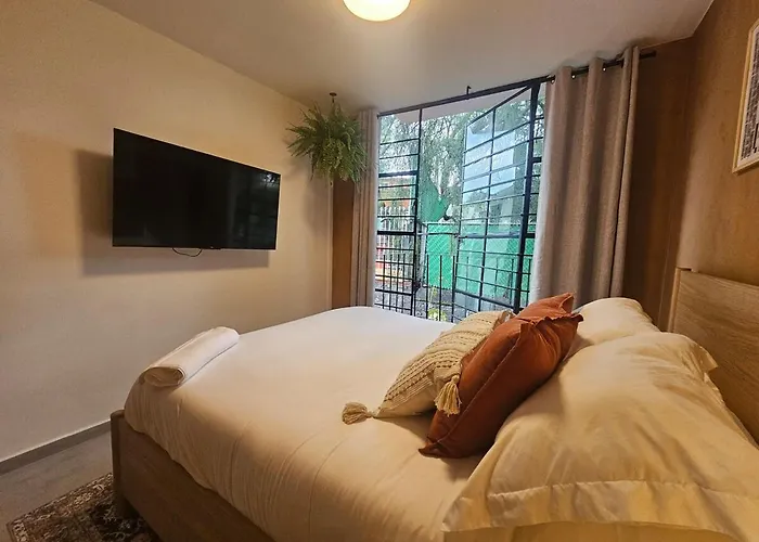 Casa Te Adoro Coyoacan * Mexico City