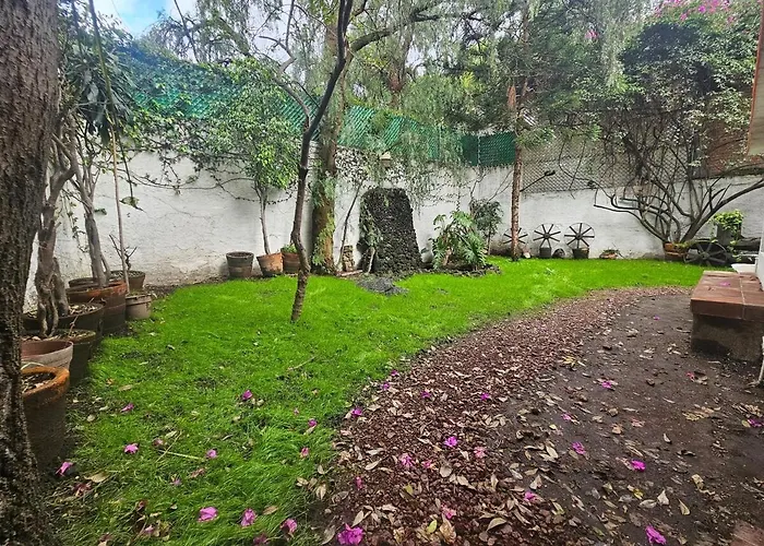 Casa Te Adoro Coyoacan *